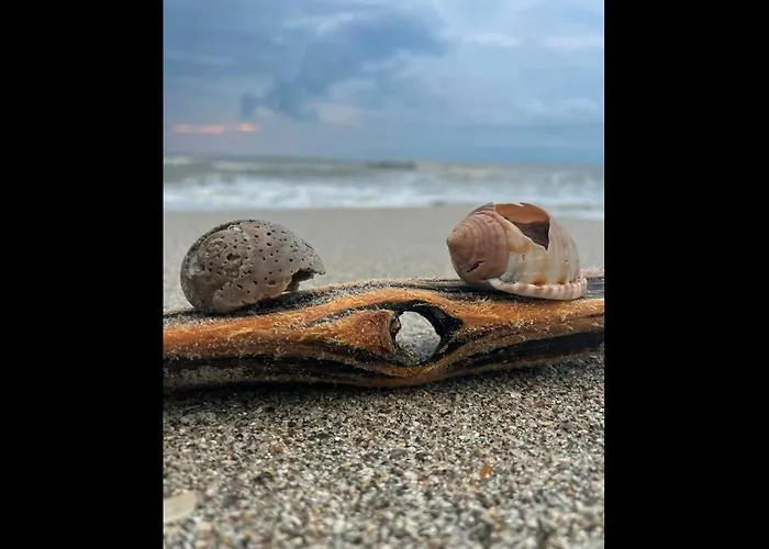 Cocoa, Beach House
